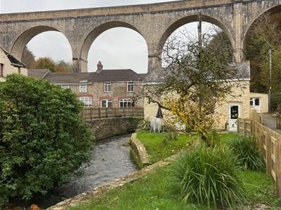 Picture 10